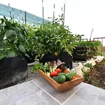 Σπίτι διακοπών Palomino House Sinj