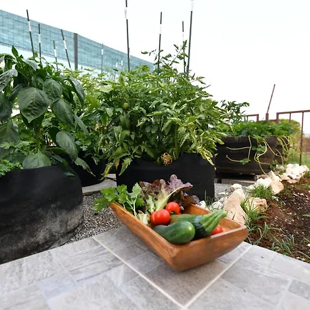 Ferienhaus Palomino House Sinj