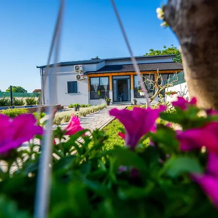 Palomino House Holiday home