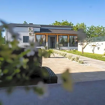 בית נופש Palomino House סיני
